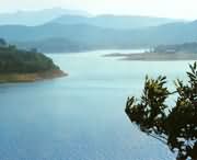 确山后天天气